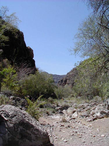 Sendero a San Borjitas