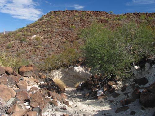 Looking back down trail and caliche