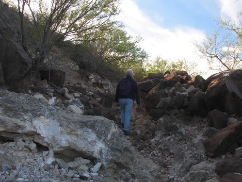 Continuing up the trail, close to top