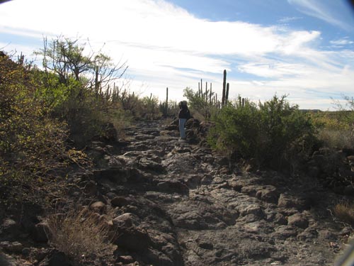 Lava flow at top of trail