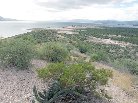 Bahia Concepcion