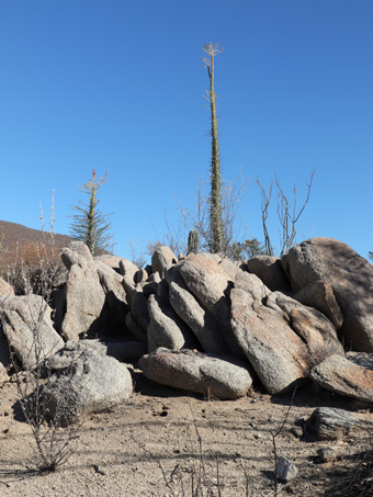 desert landscape in the Sierra