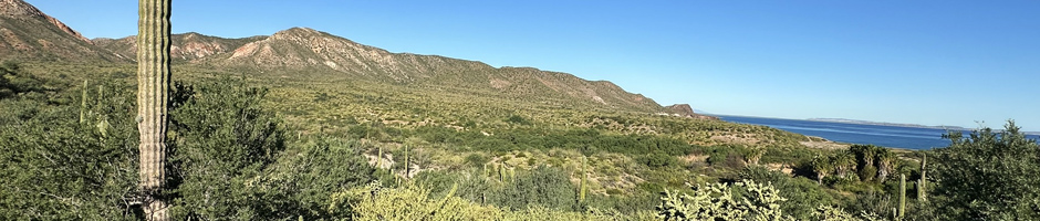 View near Punta Prieta