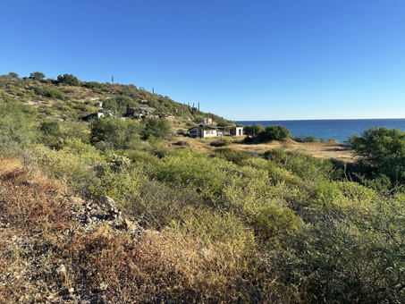Hillside by Punta Prieta, Mulegé