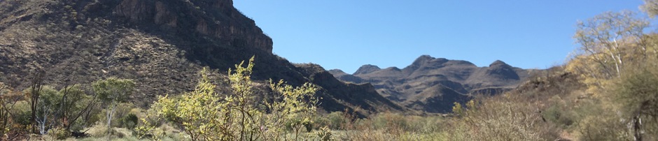 Arroyo San Borjitas, BCS