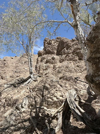 Copyright © 2025 D. Valov The creek runs through a ravine with steep, rocky walls