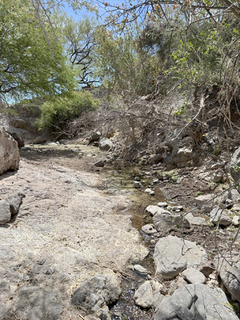 Copyright © 2025 D. Valov view down the creek bed