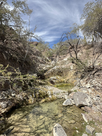 Copyright © 2025 D. Valov looking up the creek bed