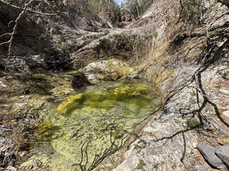 pool in the creek