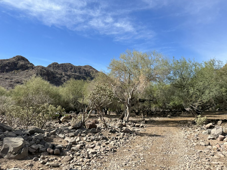 road passing through one of the remote ranches