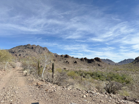 desert scenery in the sierras