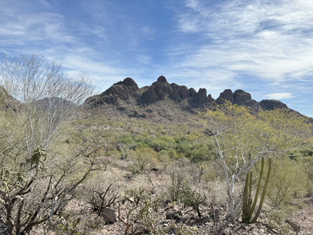 desert landscape in the Sierras