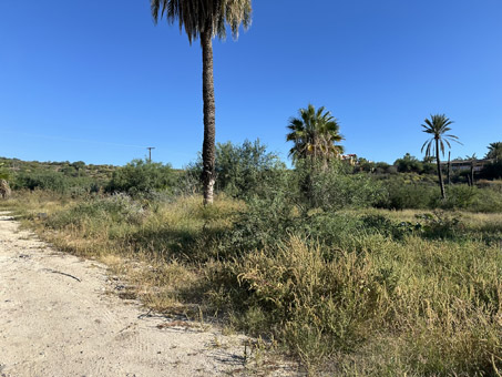 mouth of Arroyo Canett