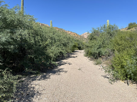 view up arroyo Canett