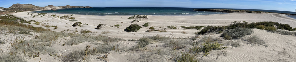 beach panorama