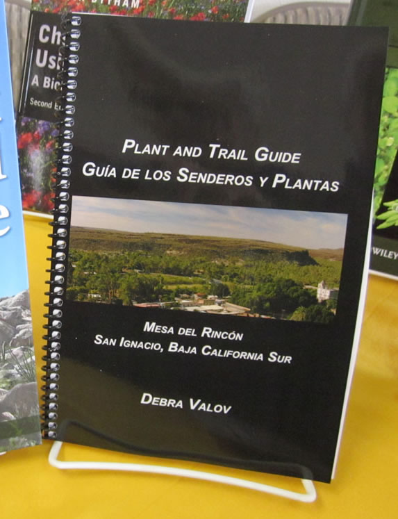 Guia de los senderos y plantas en venta en Ensenada