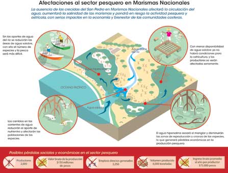 Diagrama de las afectaciones al sector pesquero en Marismas Nacionales