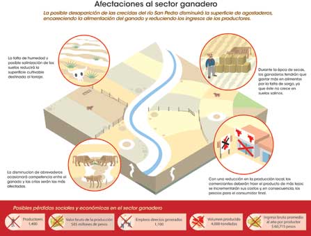 Diagrama: afectaciones al sector ganadero