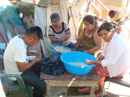 jornaleros de San Quintin