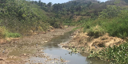 San Pancho Wetland