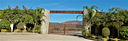 LA Cetto winery