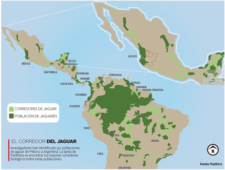 mapa de corredores