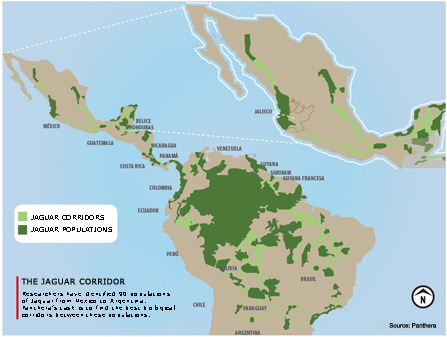 mapa de corredores