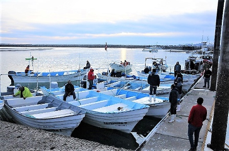 boats at dock